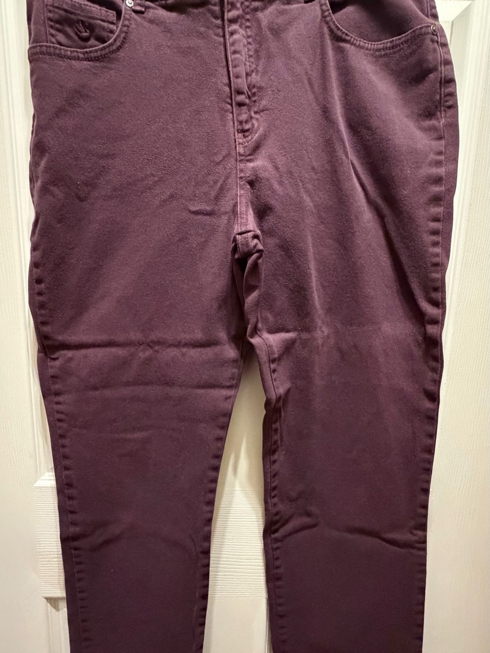 Gloria Vanderbilt Slim Stretch Chinos in Plum